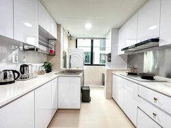 Simei Green Condominium (D18), Condominium #462865151